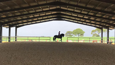 Spain-Southern Spain-Classical Dressage Clinic - in Southern Spain